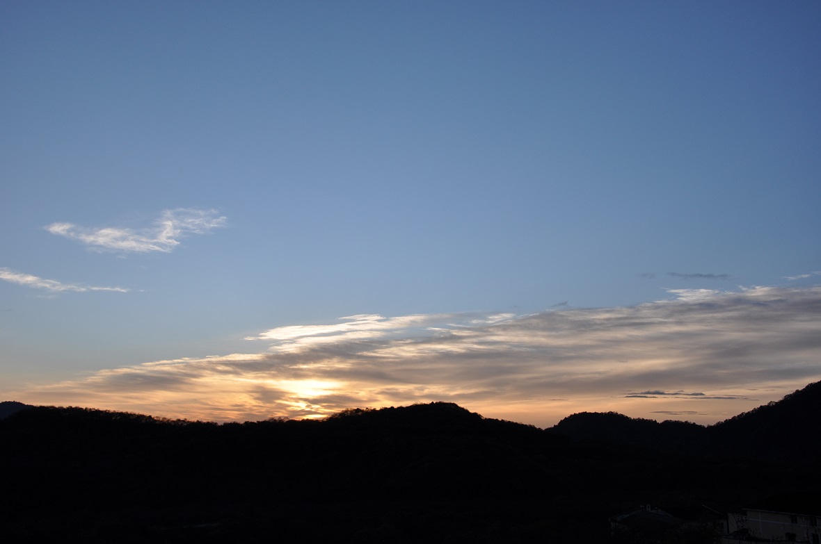 DSC_4475.jpg