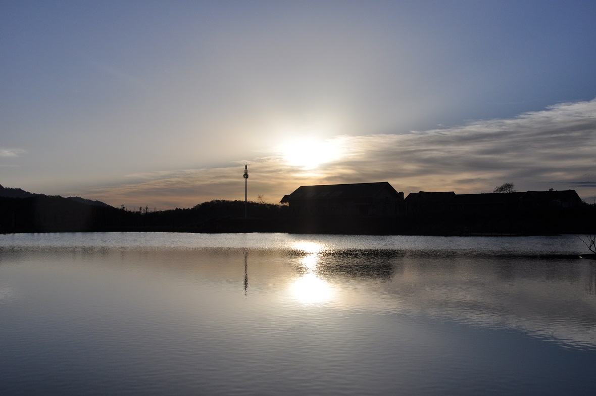 DSC_4486.jpg